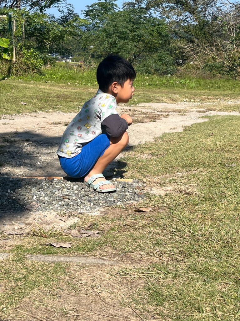 トリート、プリーズ！！