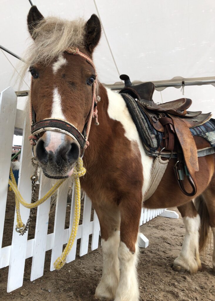 スマイル動物園