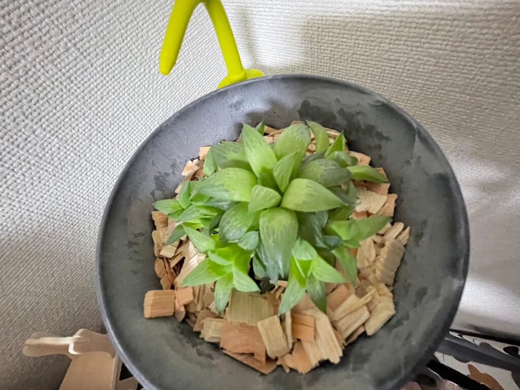 人生初の試み！