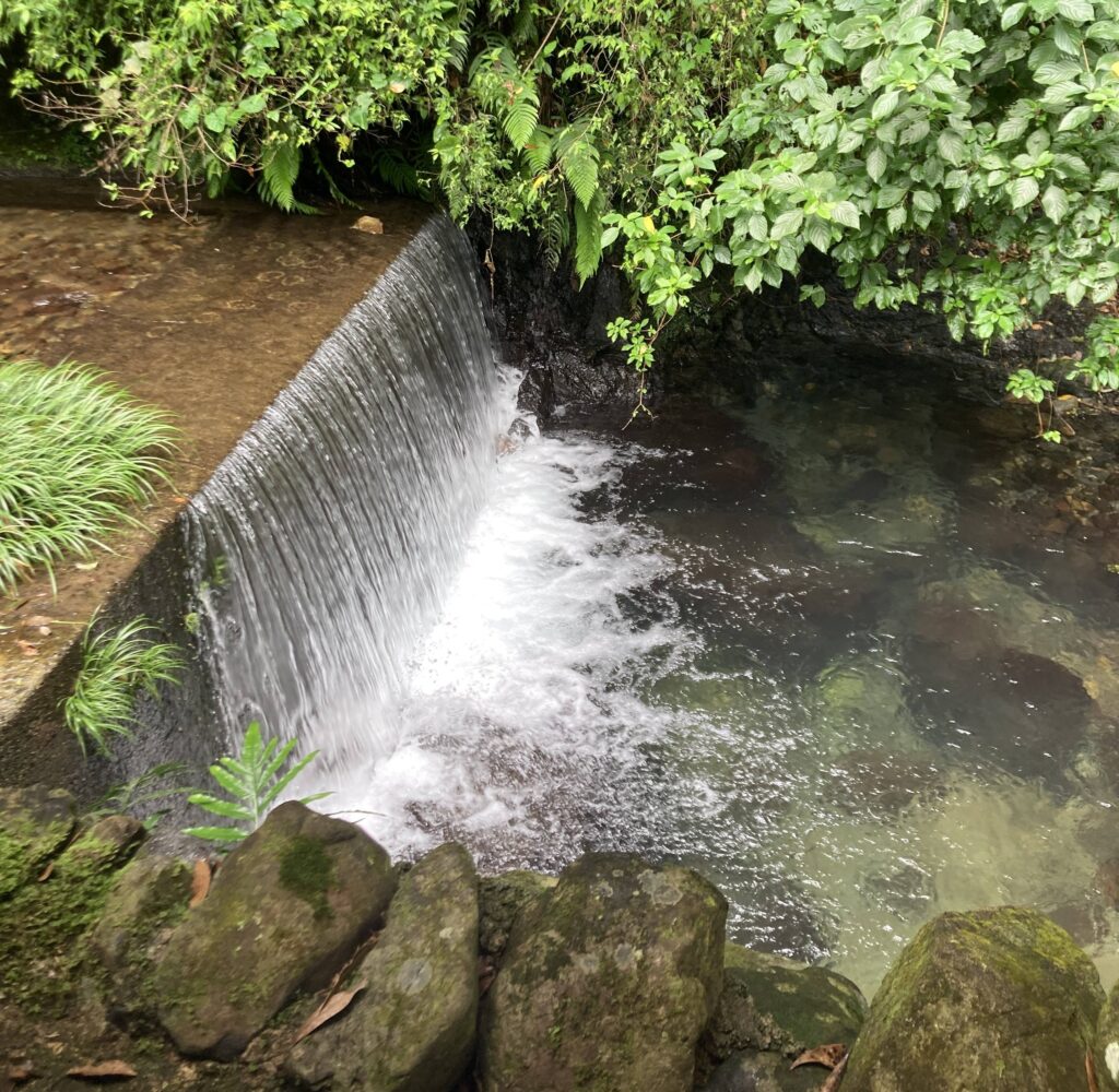 残暑厳しき折から