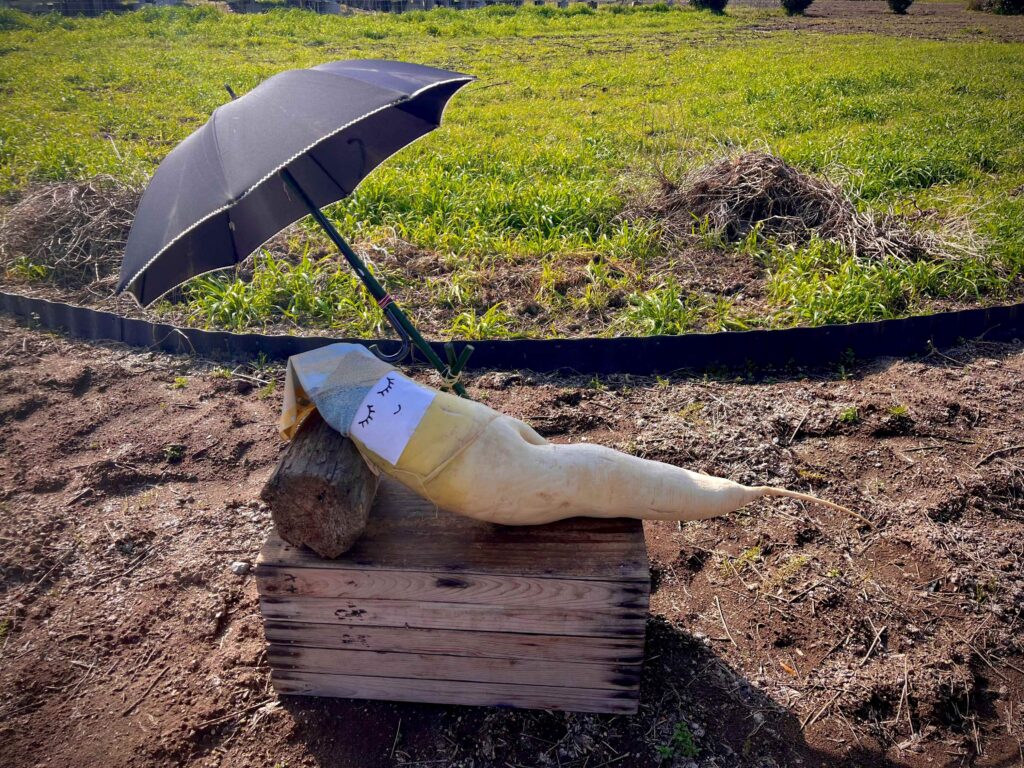 ヤサシイ キモチ