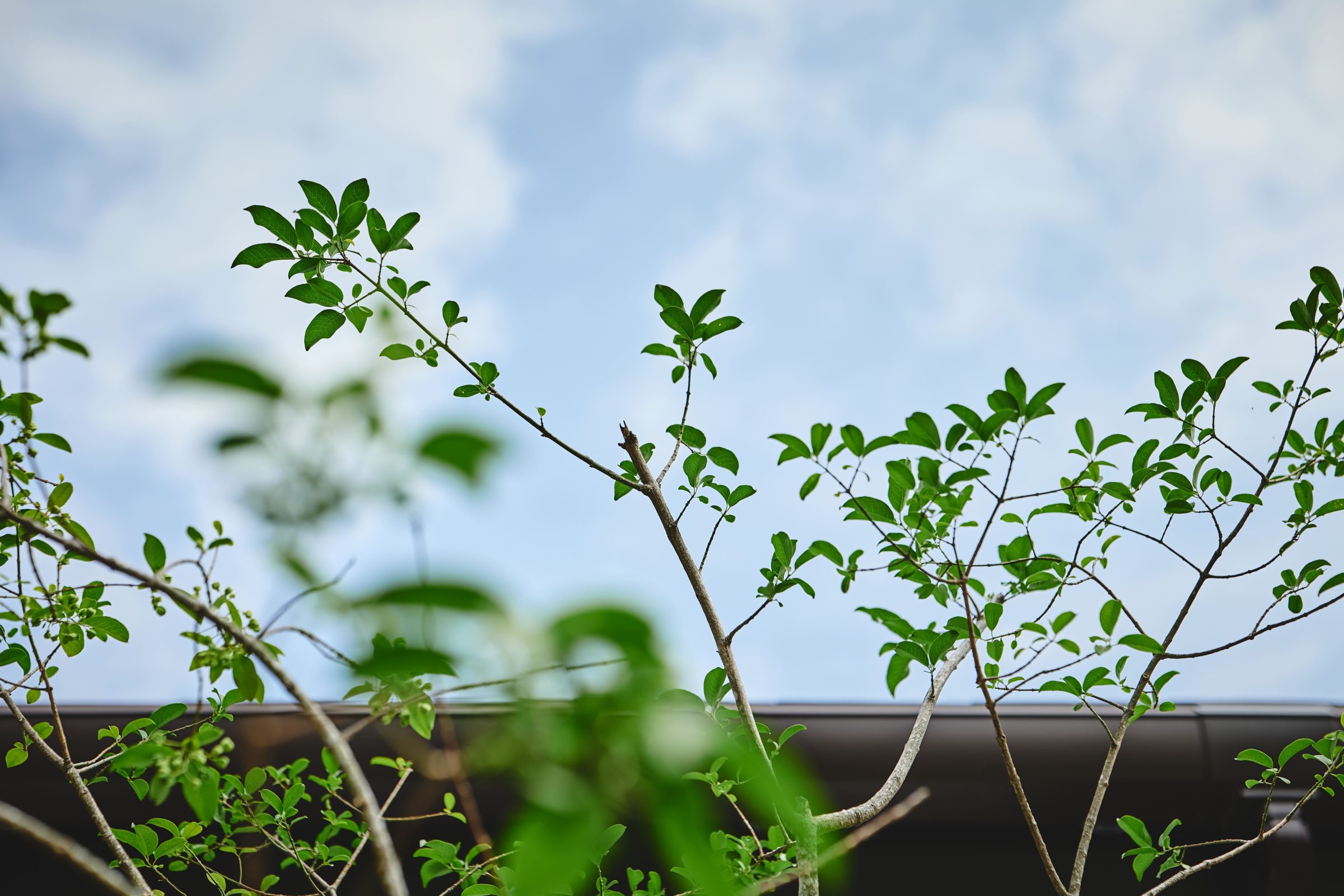 【公開中】薩摩川内モデルハウス