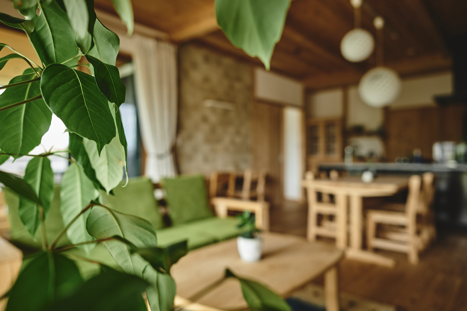 【薩摩川内市矢倉町】愛猫と暮らす平屋。<完成見学会＞