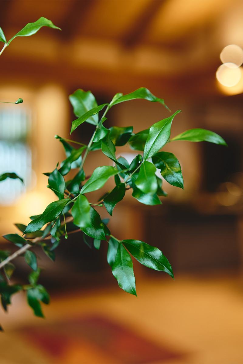 【薩摩川内市隈之城町】ゆるやかにつながる平屋。<完成見学会＞