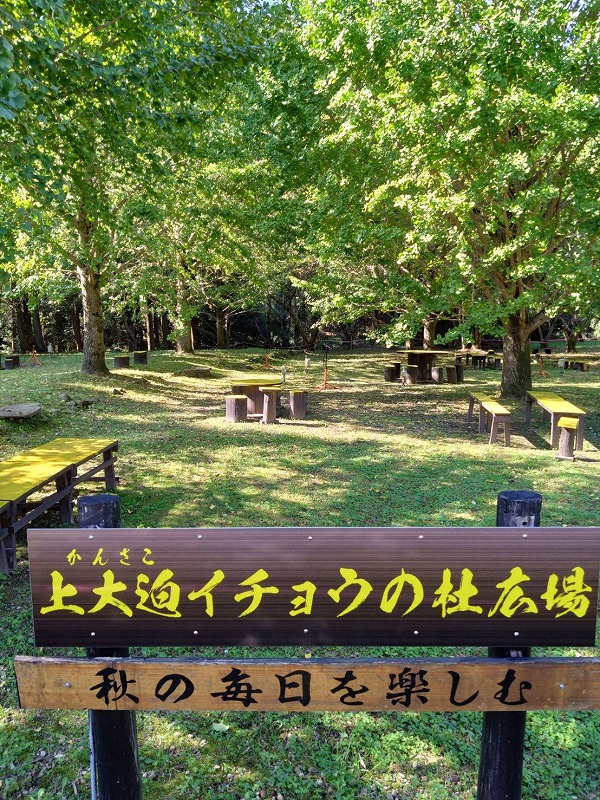 『イチョウの杜』