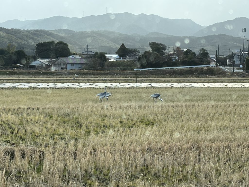 明けましておめでとうございます。