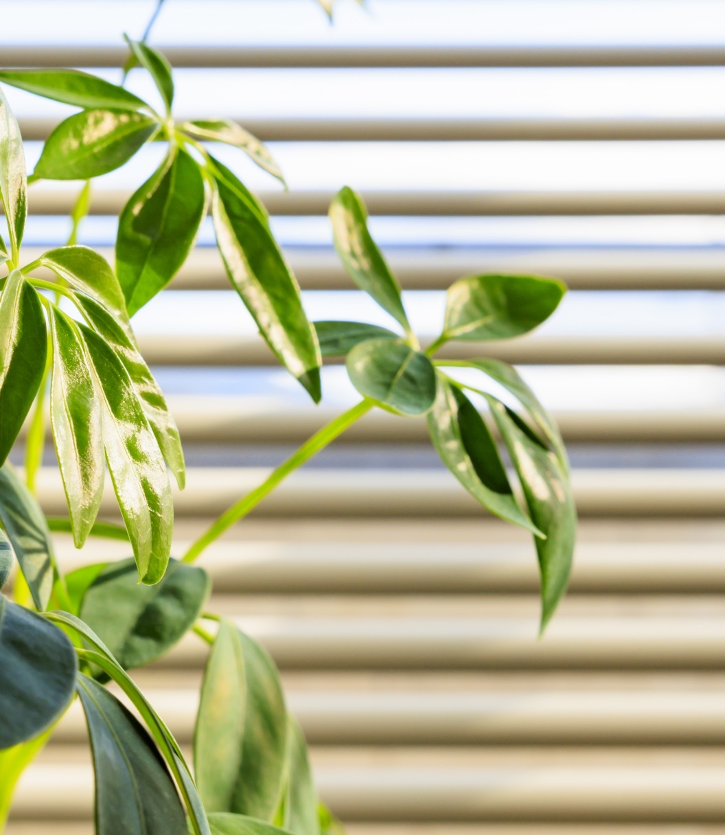 【鹿児島市】心地よいオンリーワンの家<完成見学会>