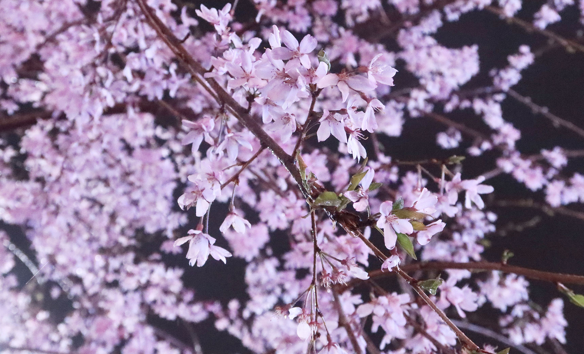 きっと、
「なんかいいかも」と
感じていただけると思います。