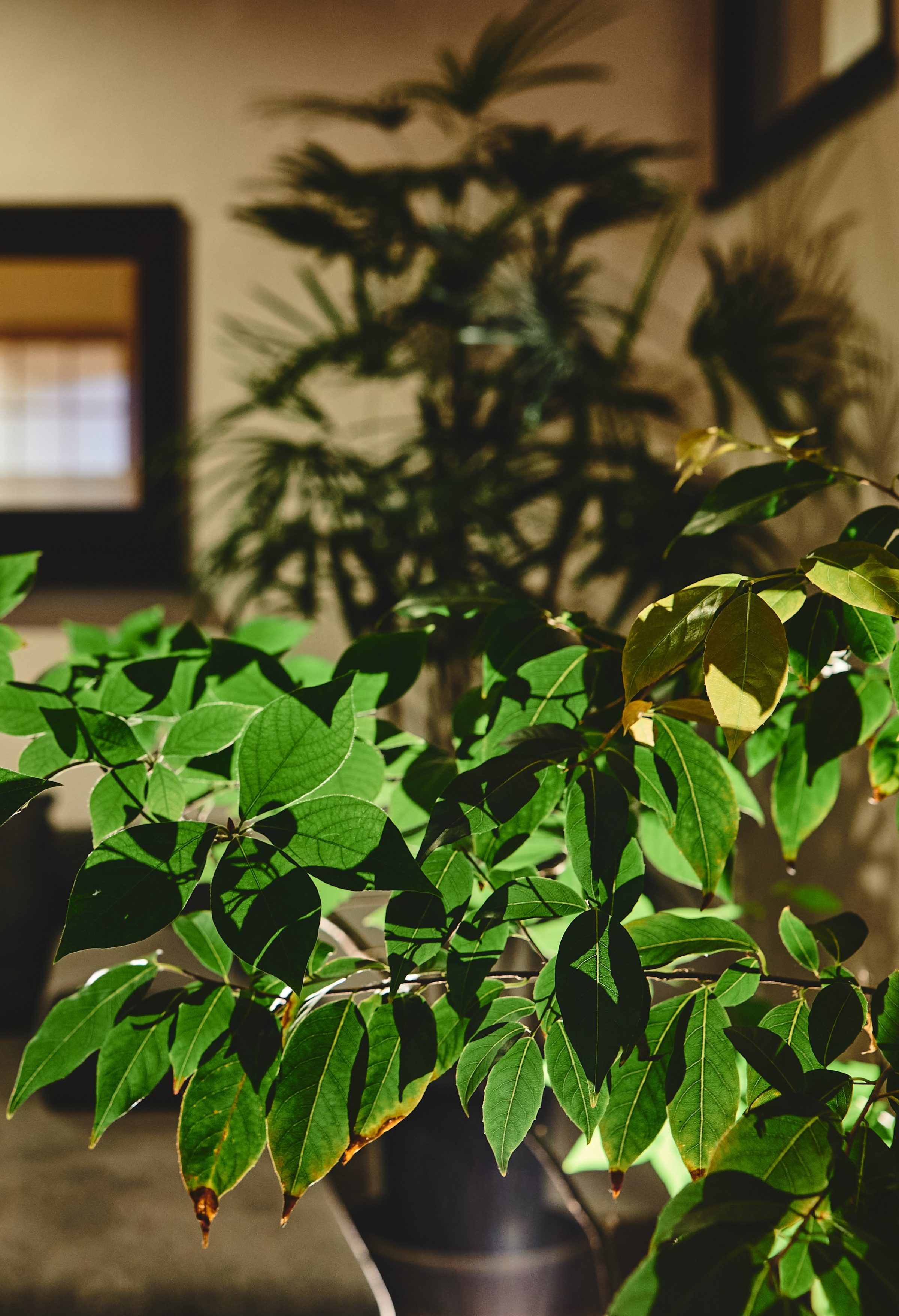 【薩摩川内市 矢倉町】完成見学会