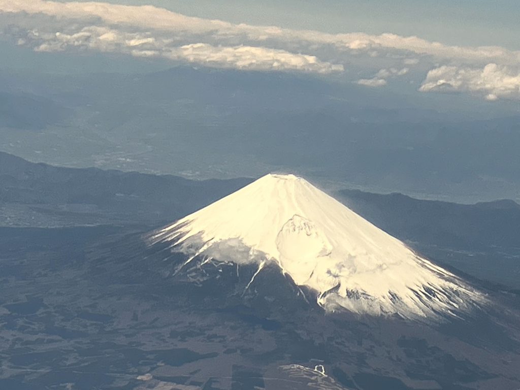 【旭住宅のおすすめプラン】