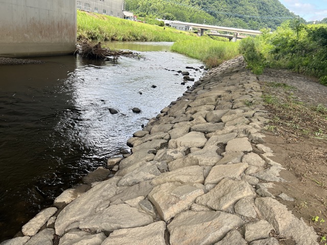 暑い夏がやってくる…！
