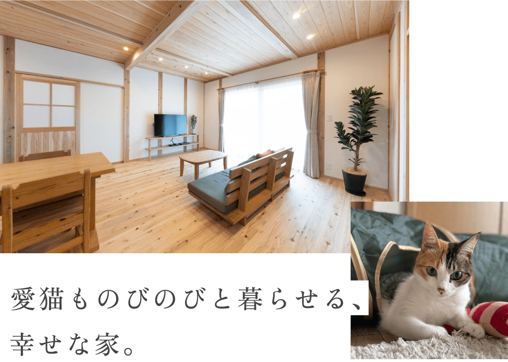 愛猫ものびのびと暮らせる、幸せな家。
