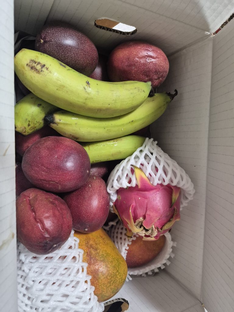 南の島からの贈り物