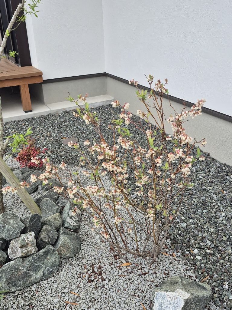 『薩摩川内モデルハウス』