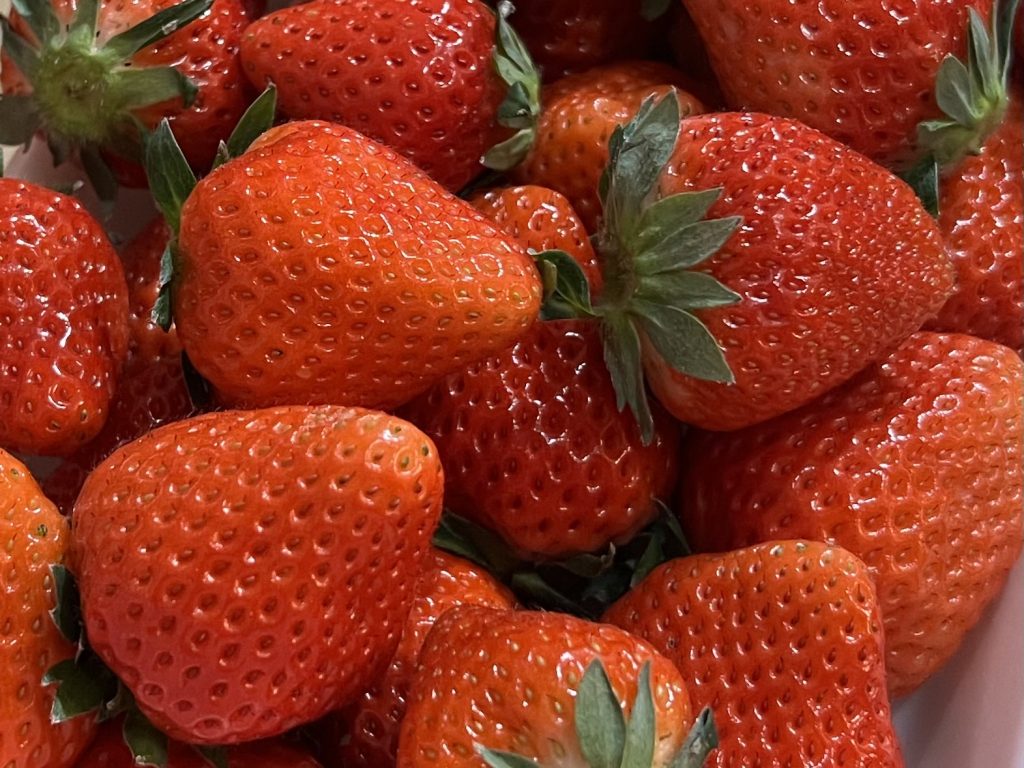 お引渡後のお家と苺