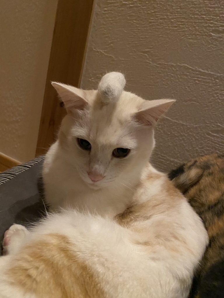 かんもうき