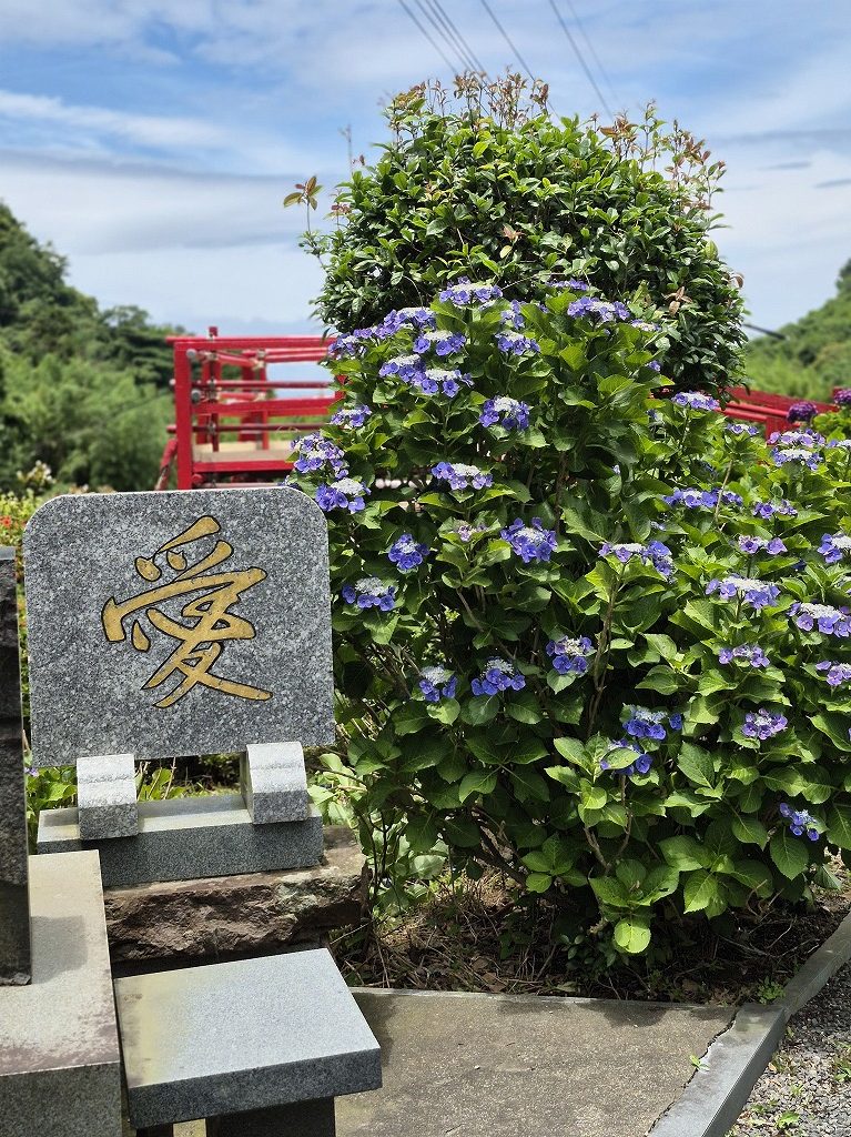 『紫陽花』Part.３