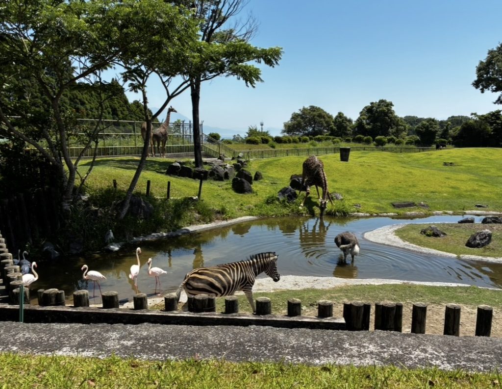 動物園